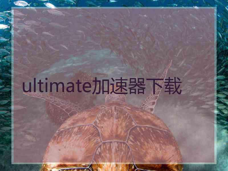 ultimate加速器下载