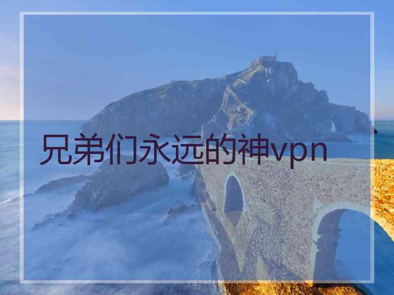 兄弟们永远的神vpn