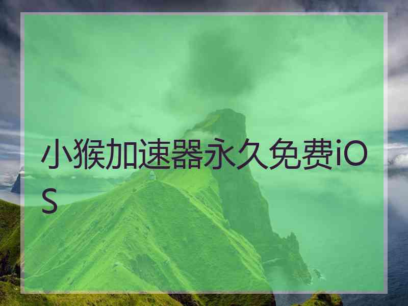 小猴加速器永久免费iOS