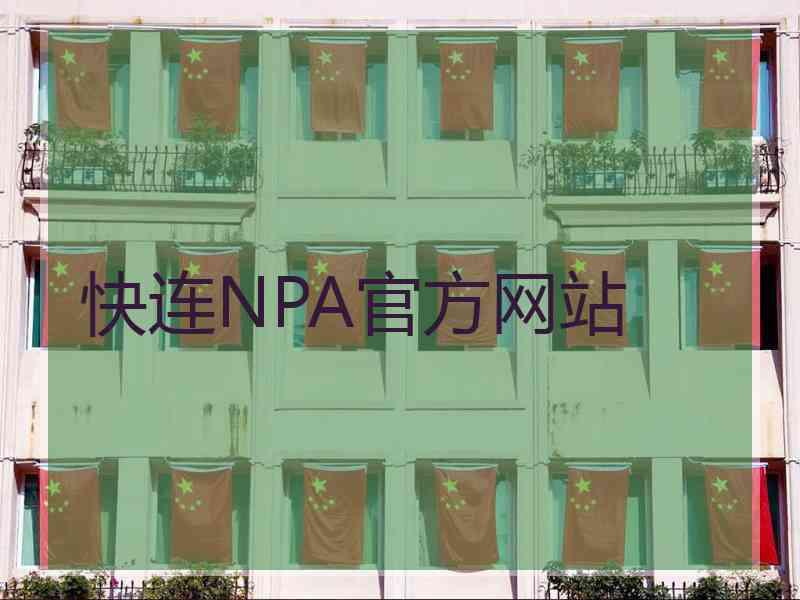 快连NPA官方网站