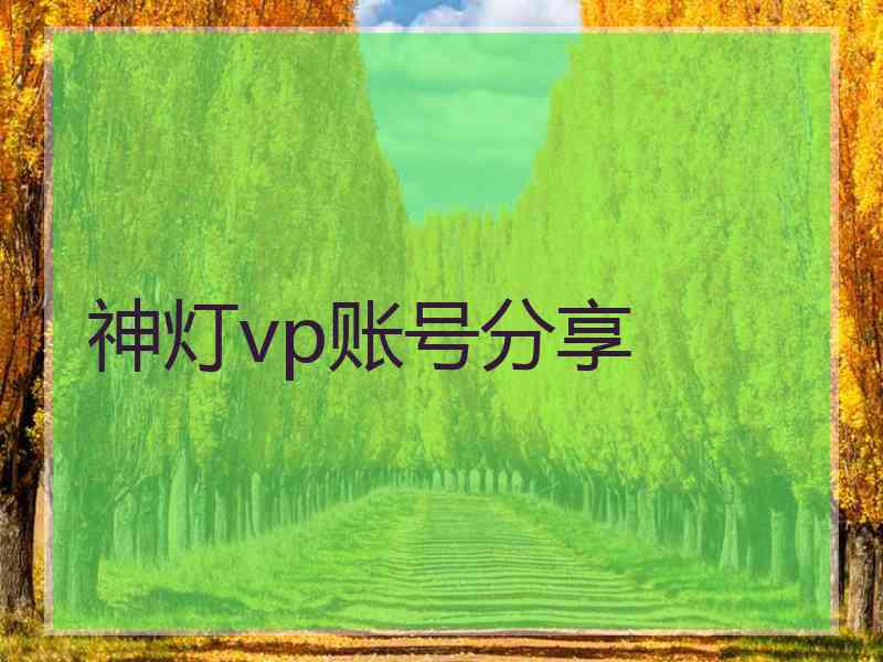 神灯vp账号分享