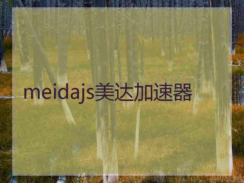 meidajs美达加速器