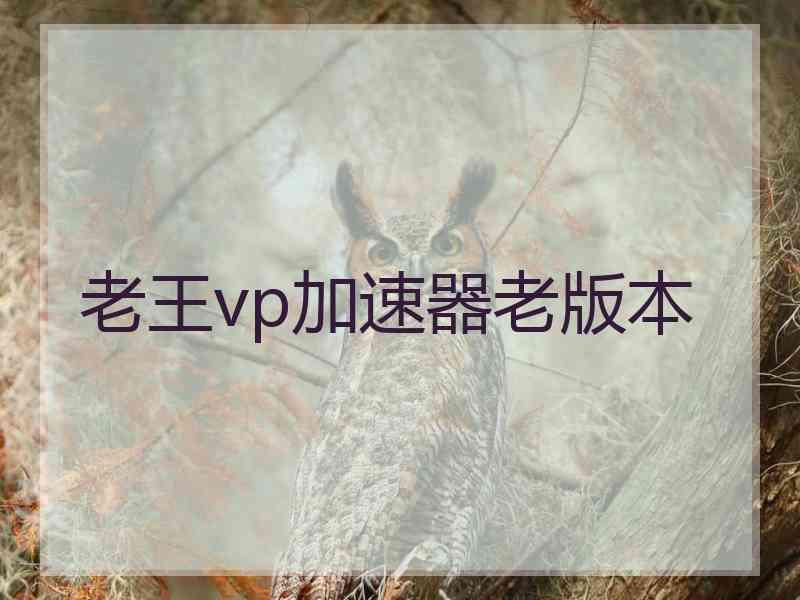 老王vp加速器老版本